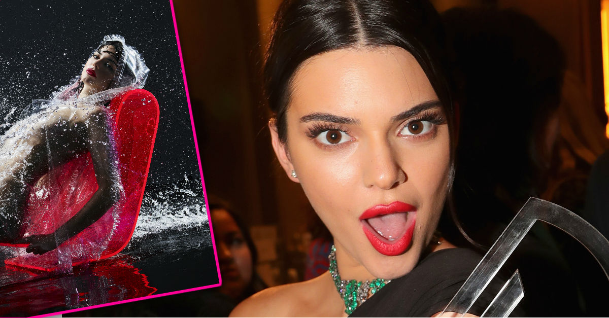 Kendall Jenner Silences Pregnancy Rumors With NSFW Photos